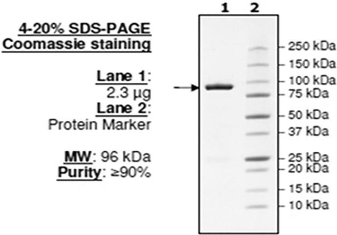 Fig. 9