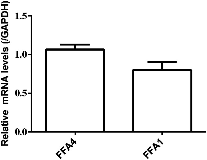 Fig. 5