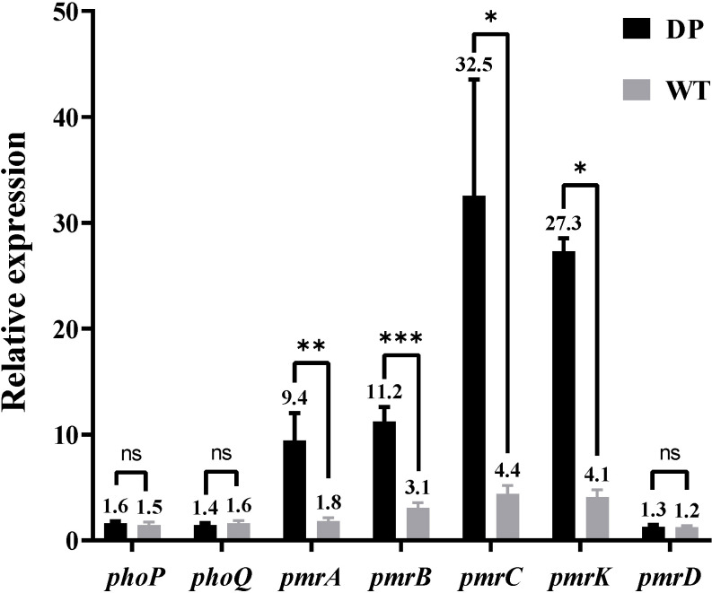 Figure 5