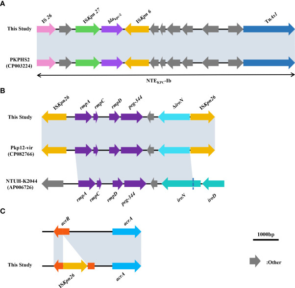 Figure 4