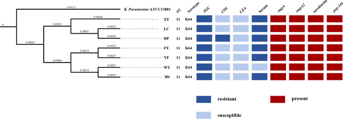 Figure 3