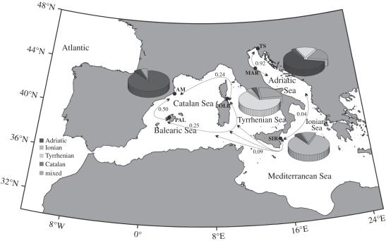 Figure 4.