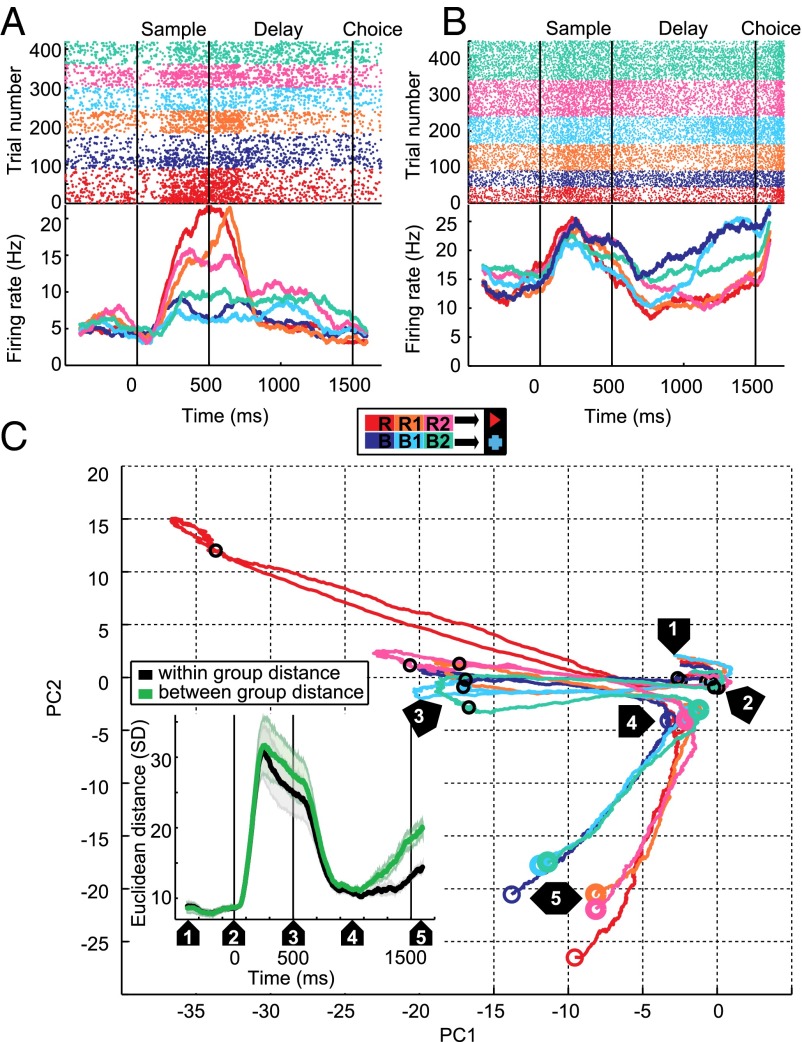 Fig. 2.