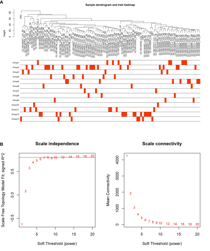 Figure 6