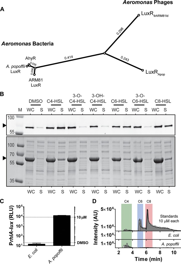 FIG 2