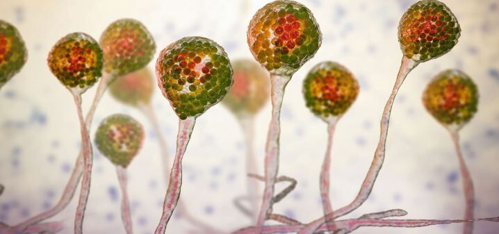 graphic file with name 15033_2021_2754_Fig1_HTML.jpg