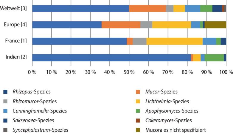 graphic file with name 15033_2021_2754_Fig3_HTML.jpg