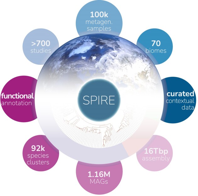 Graphical Abstract