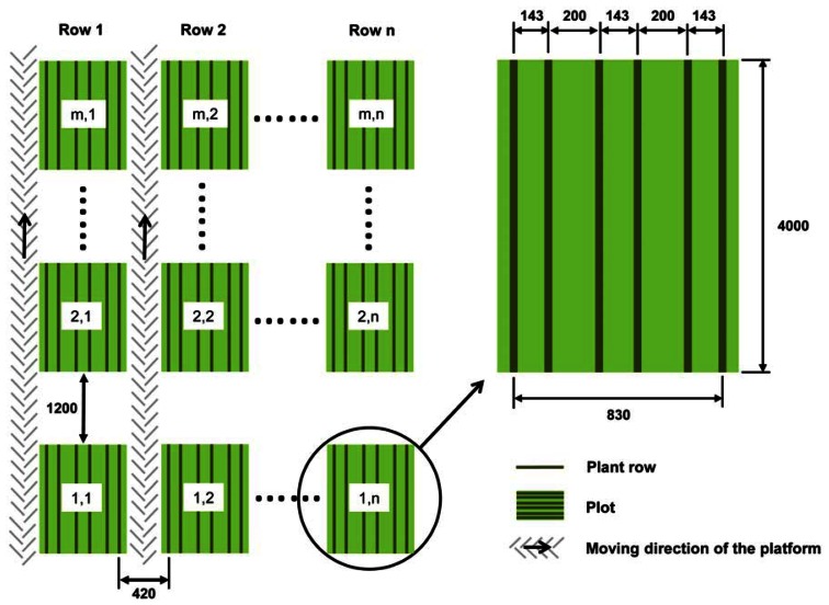 Figure 6.