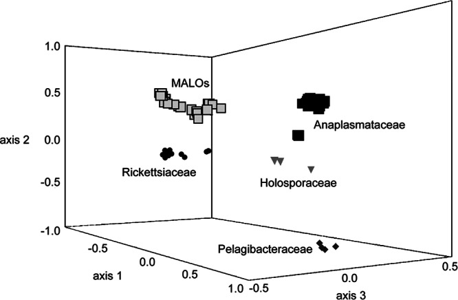 Fig 5