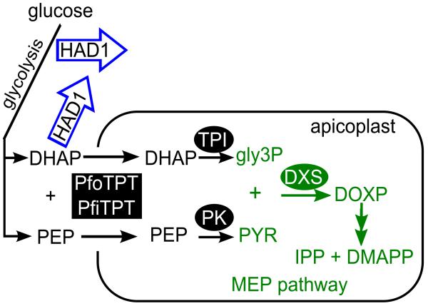 Figure 9