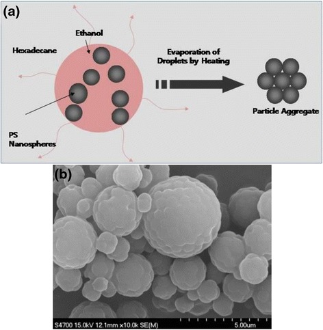 Fig. 10