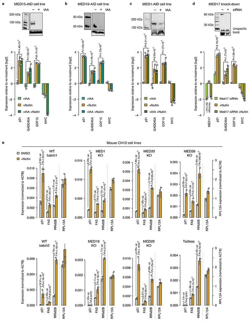 Extended Data Fig. 6