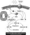 FIG. 8.