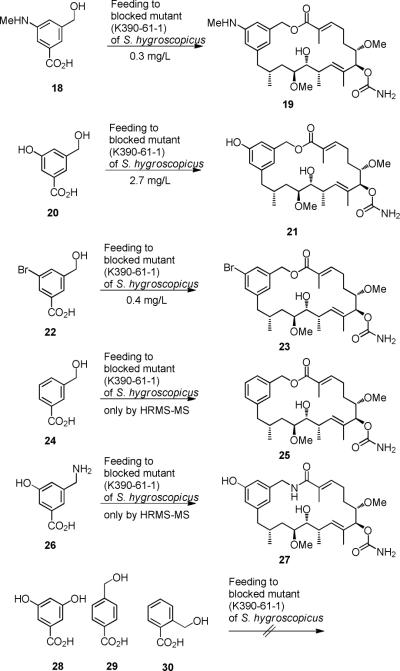 Scheme 4