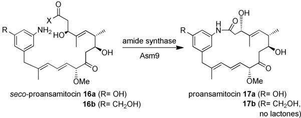 Scheme 3