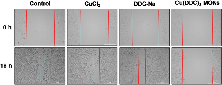 Fig. 8.