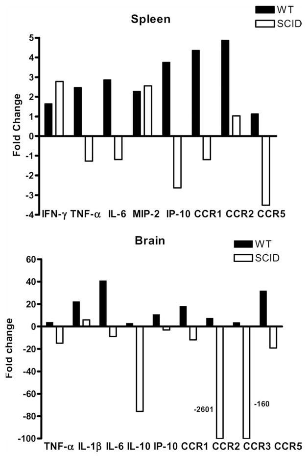 Fig. 10