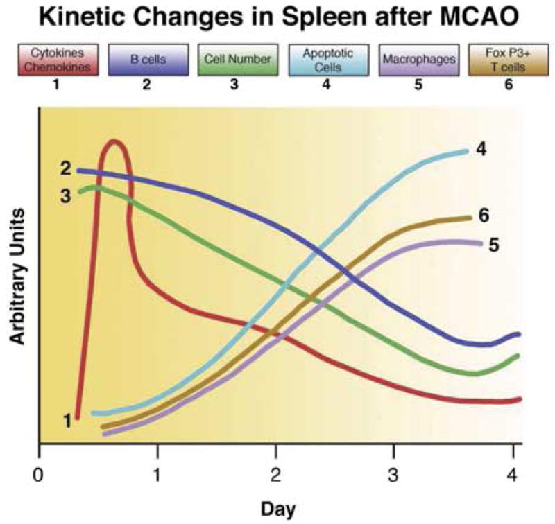 Fig. 12