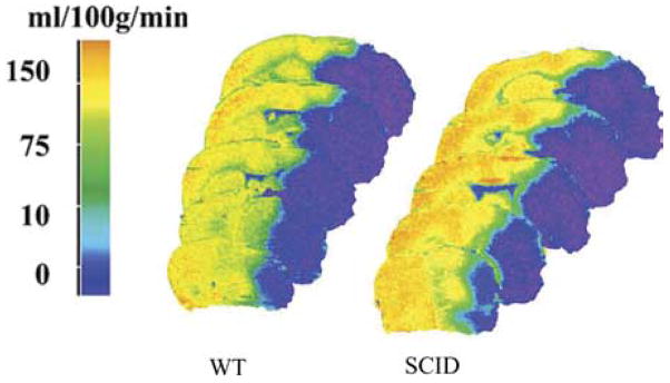 Fig. 11