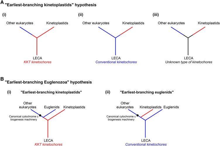 Figure 4.