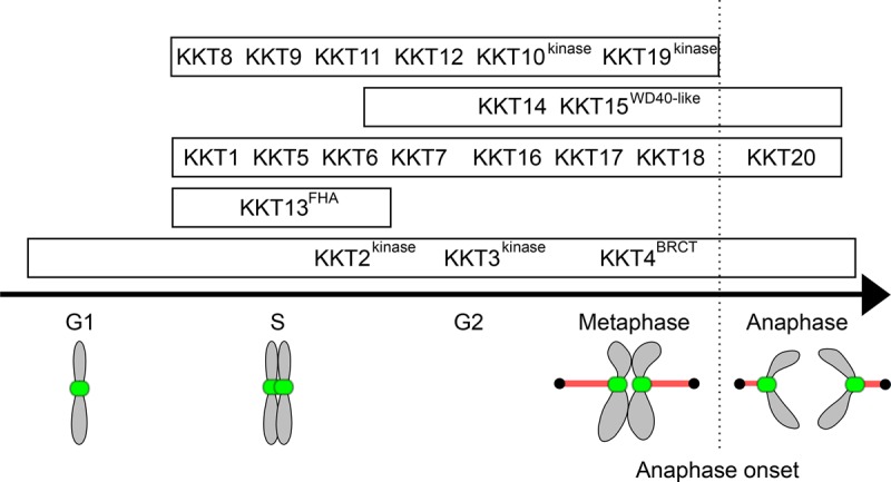 Figure 3.