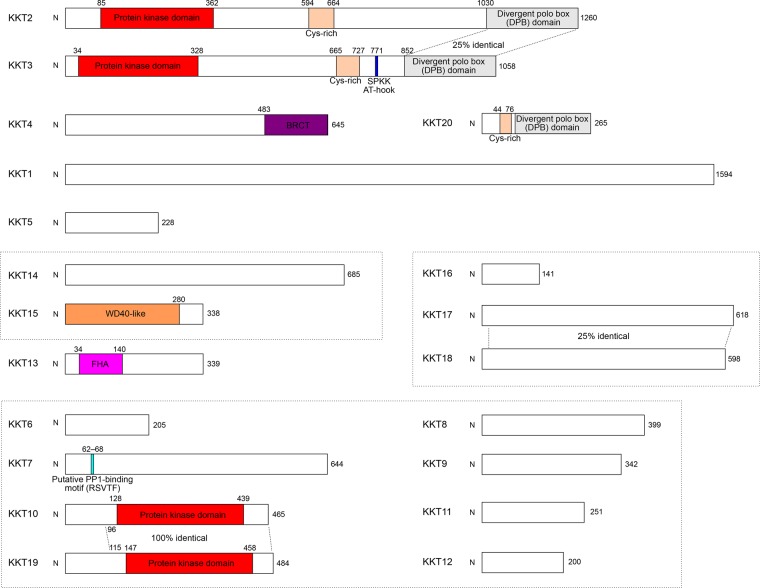 Figure 2.