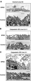 FIG. 6