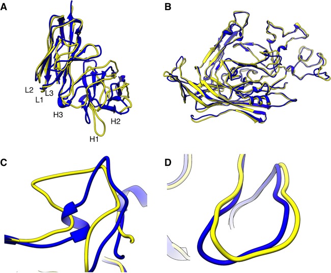 FIG 3