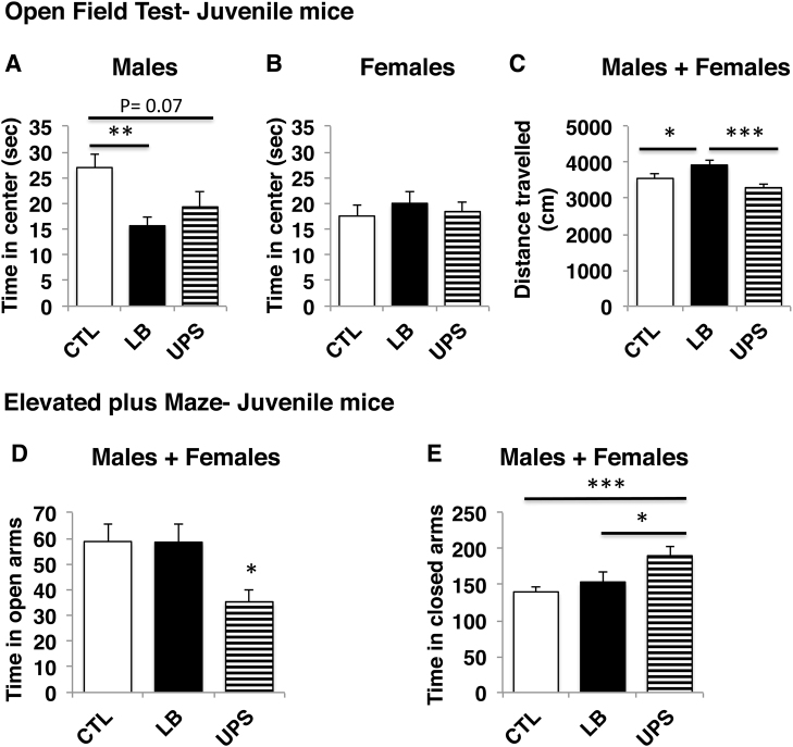 Amygdala hyper-connectivity in a mouse model of unpredictable early ...