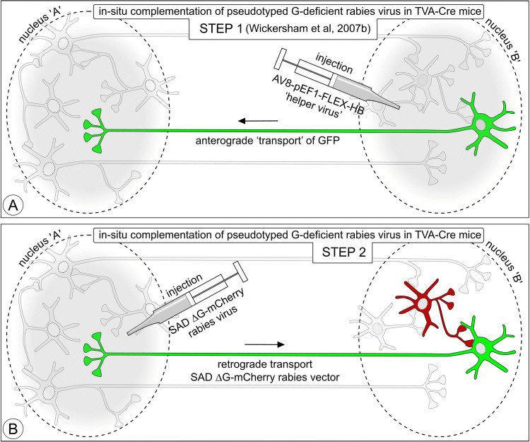 Fig. 11