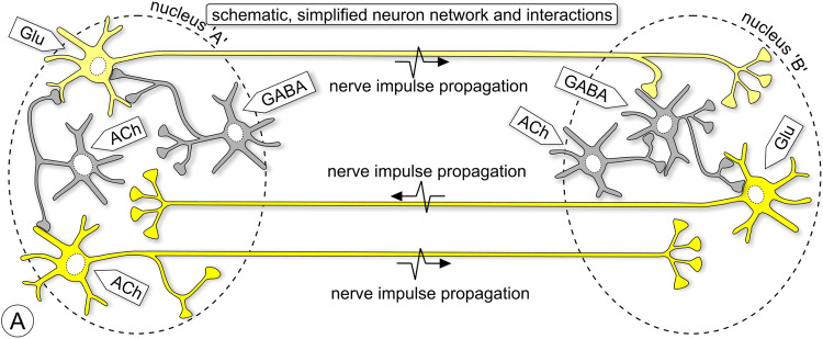 Fig. 1