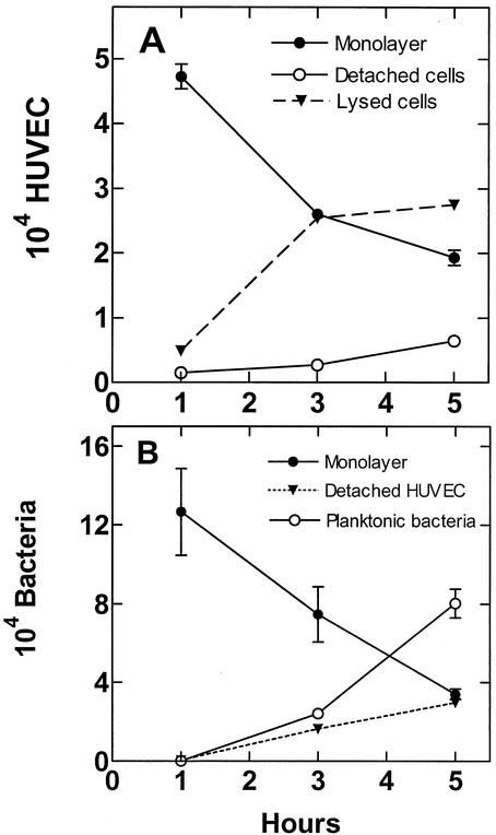 FIG. 5.