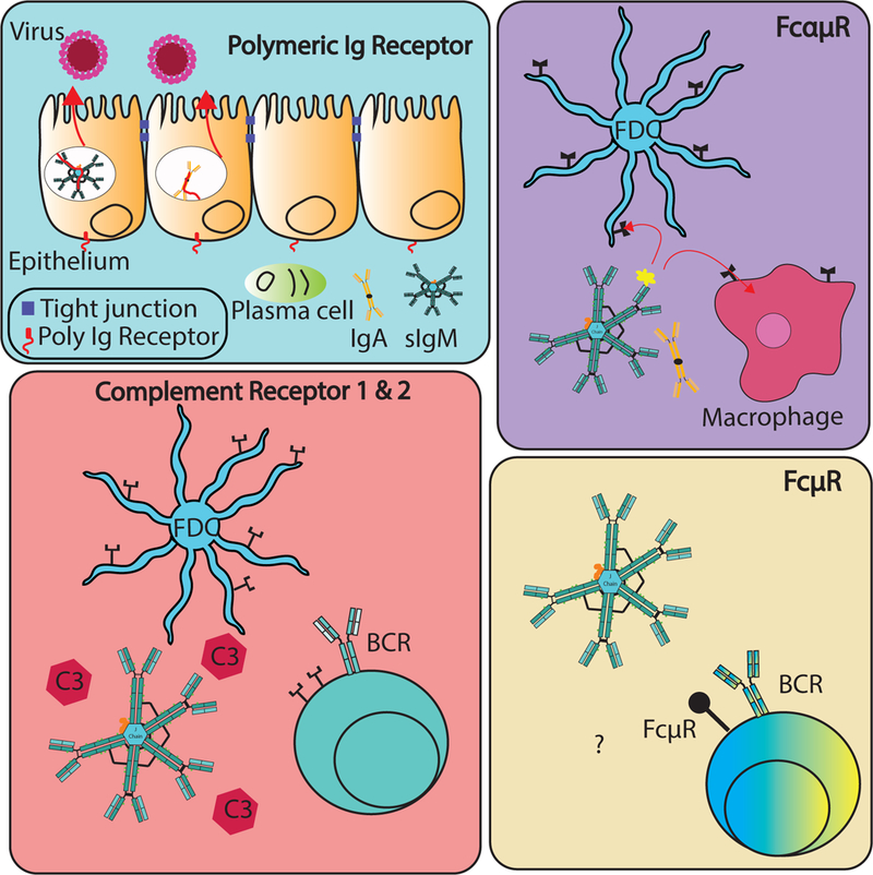 Figure 3: