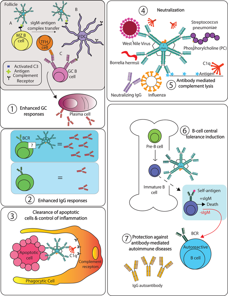 Figure 2: