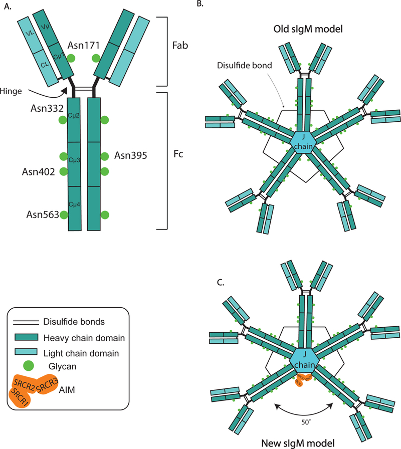 Figure 1: