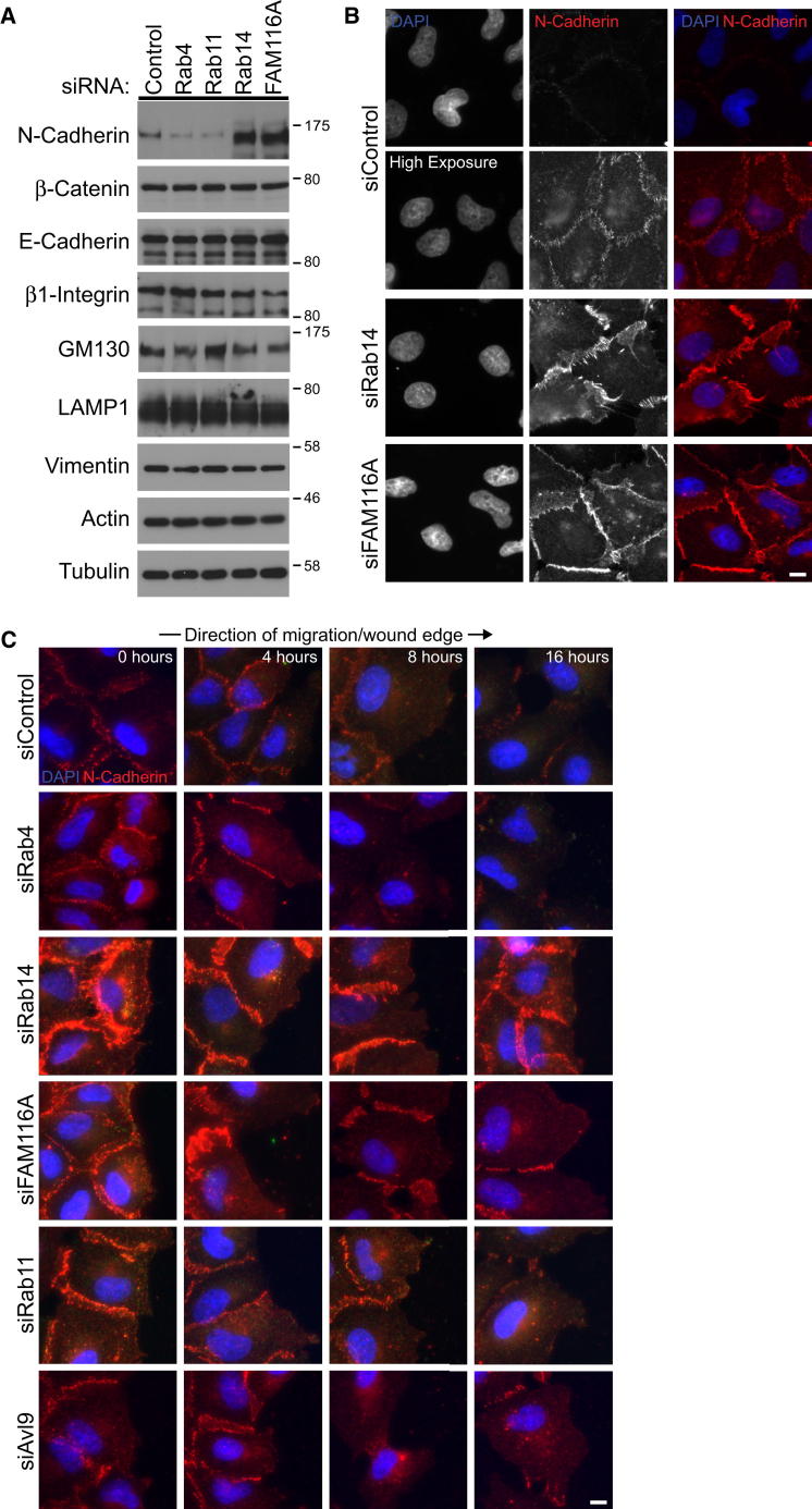 Figure 6