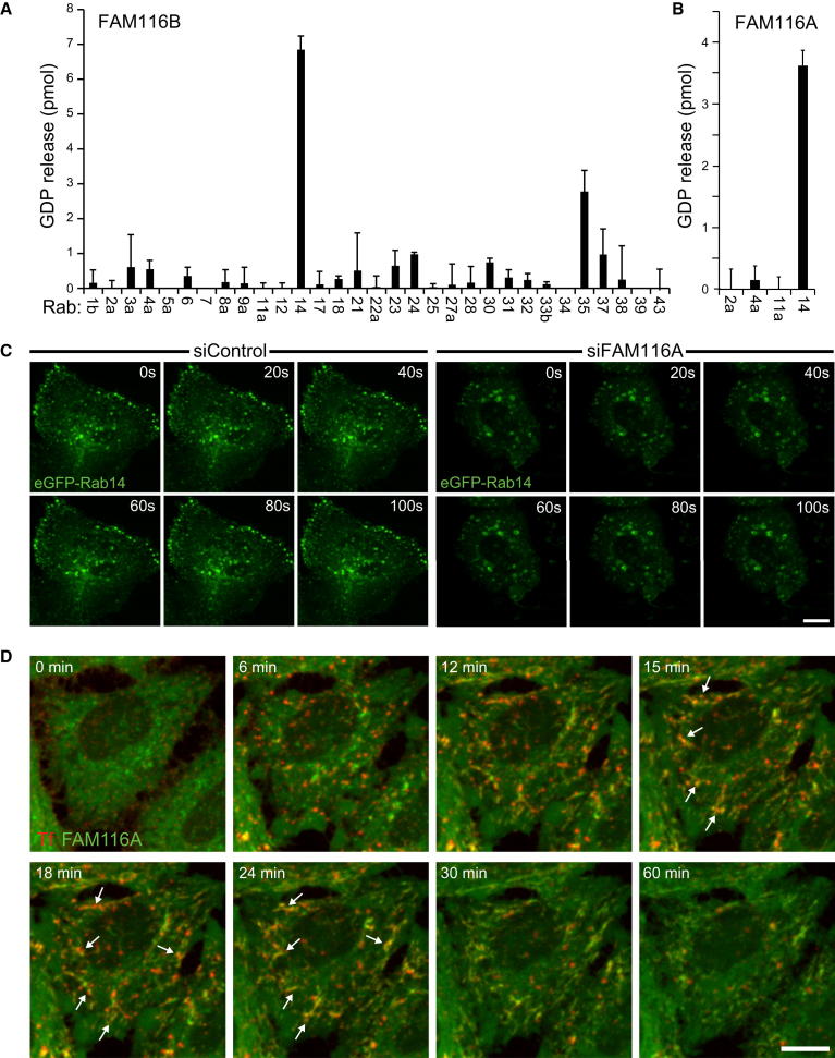 Figure 3