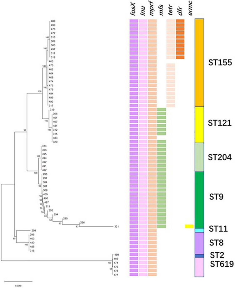 FIGURE 4