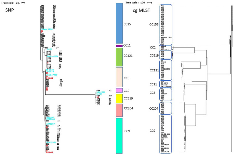 FIGURE 6