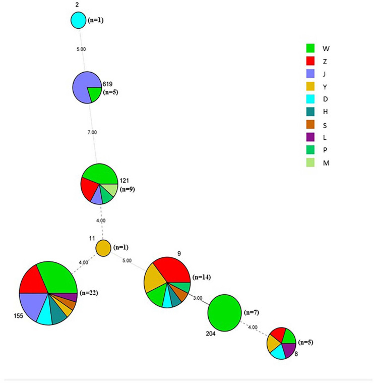 FIGURE 2