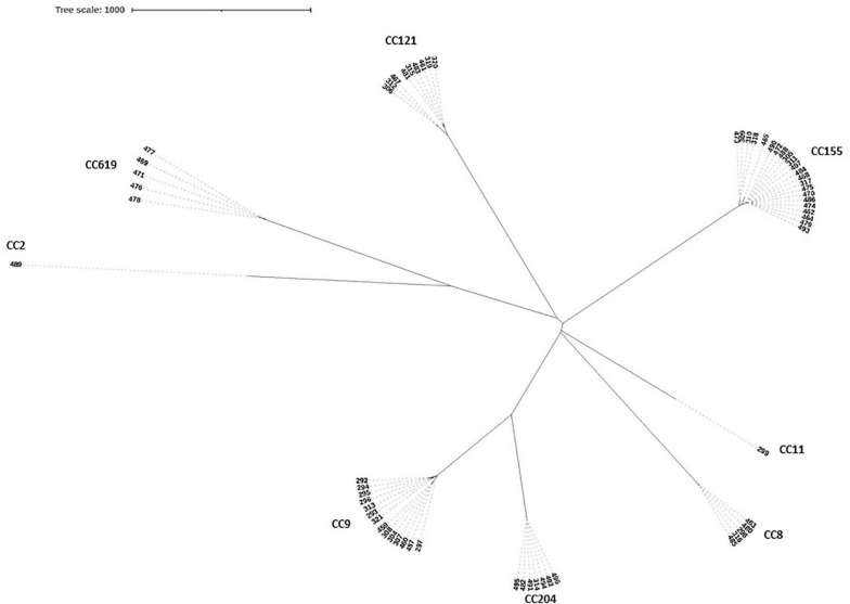 FIGURE 3