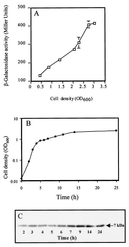 FIG. 1