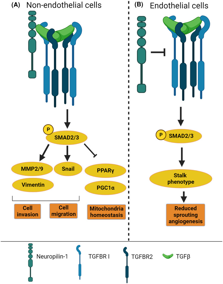 Figure 3.