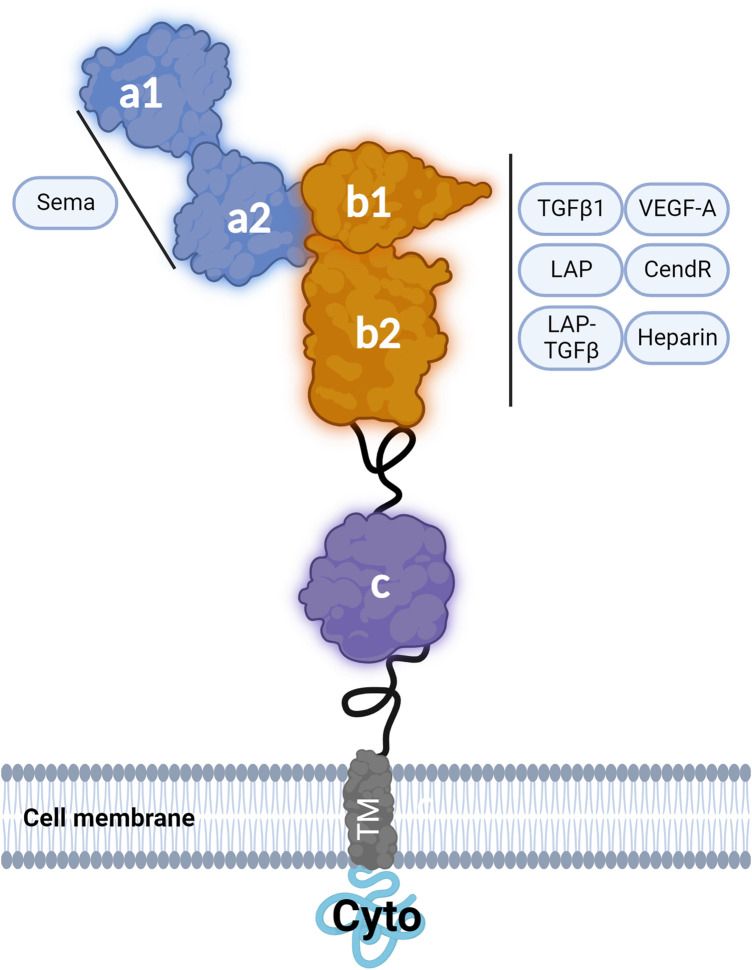 Figure 2.