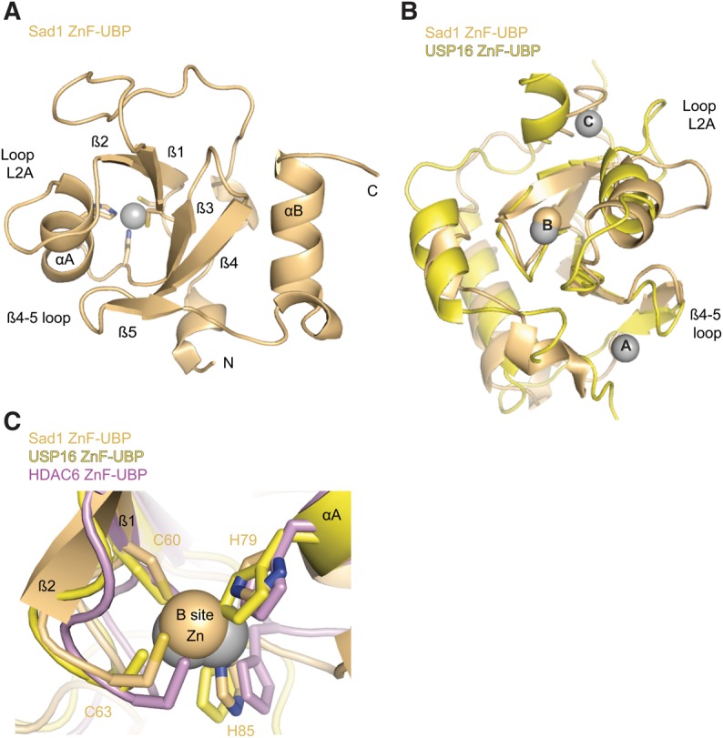 FIGURE 4.