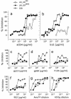 FIG. 2.