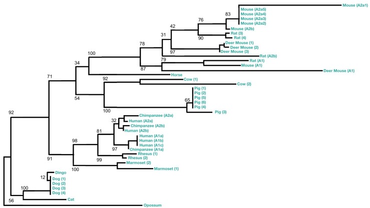 Figure 2—figure supplement 1.