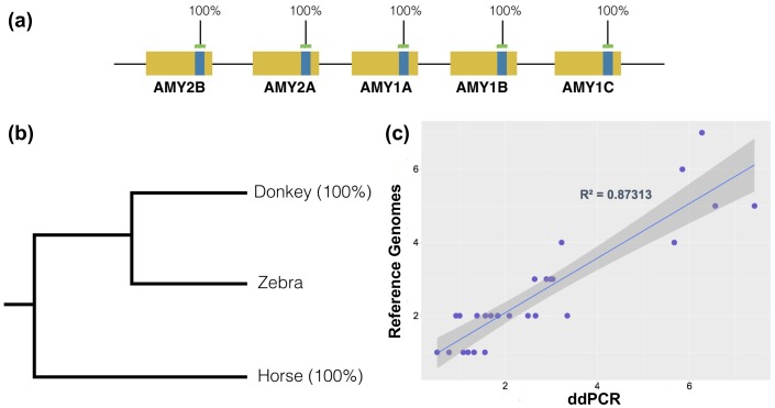 Figure 1—figure supplement 1.