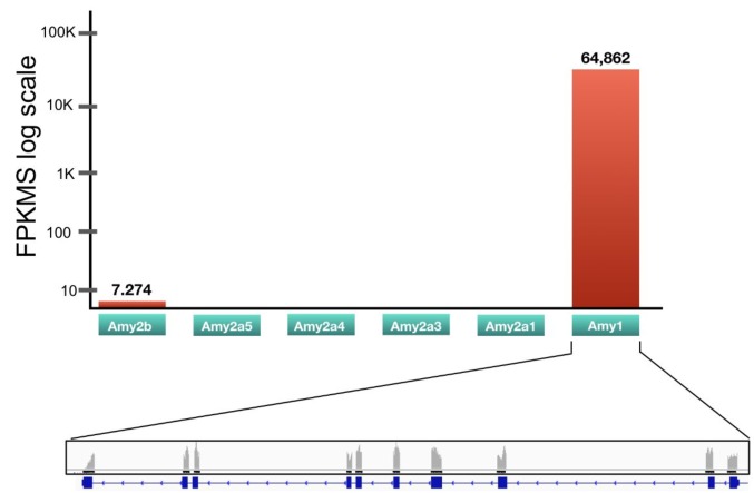 Figure 2—figure supplement 2.